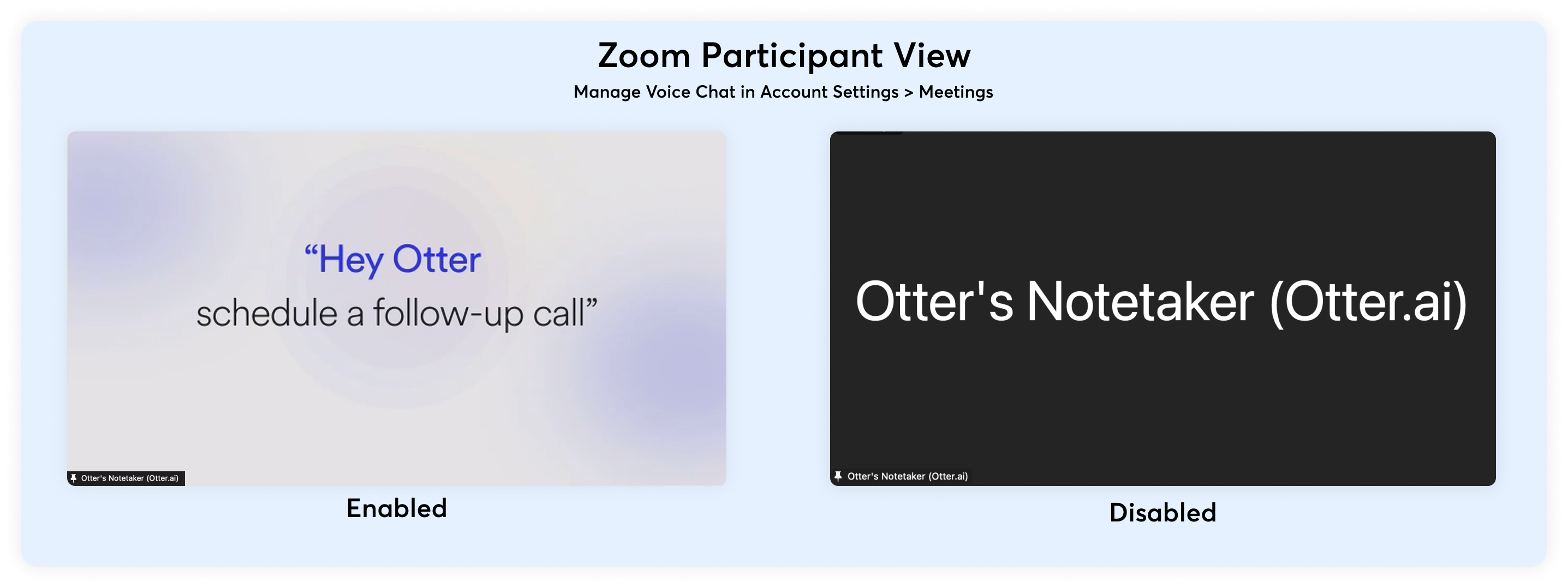 otter zoom view.png