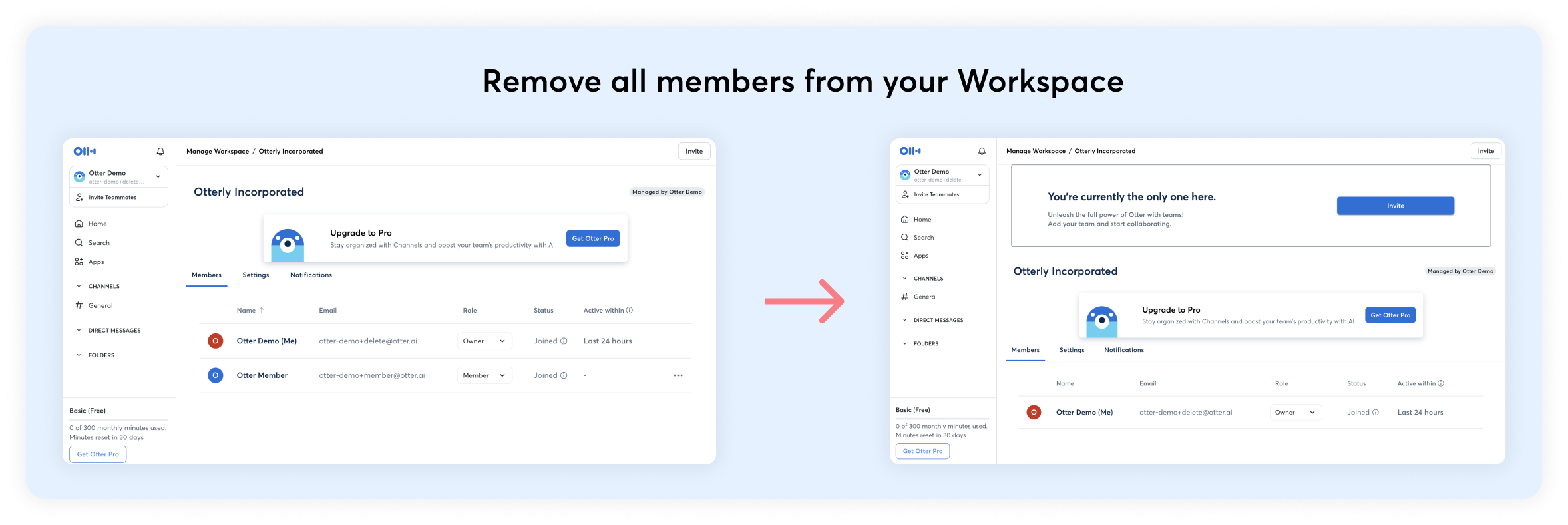 remove all members from your workspace.png